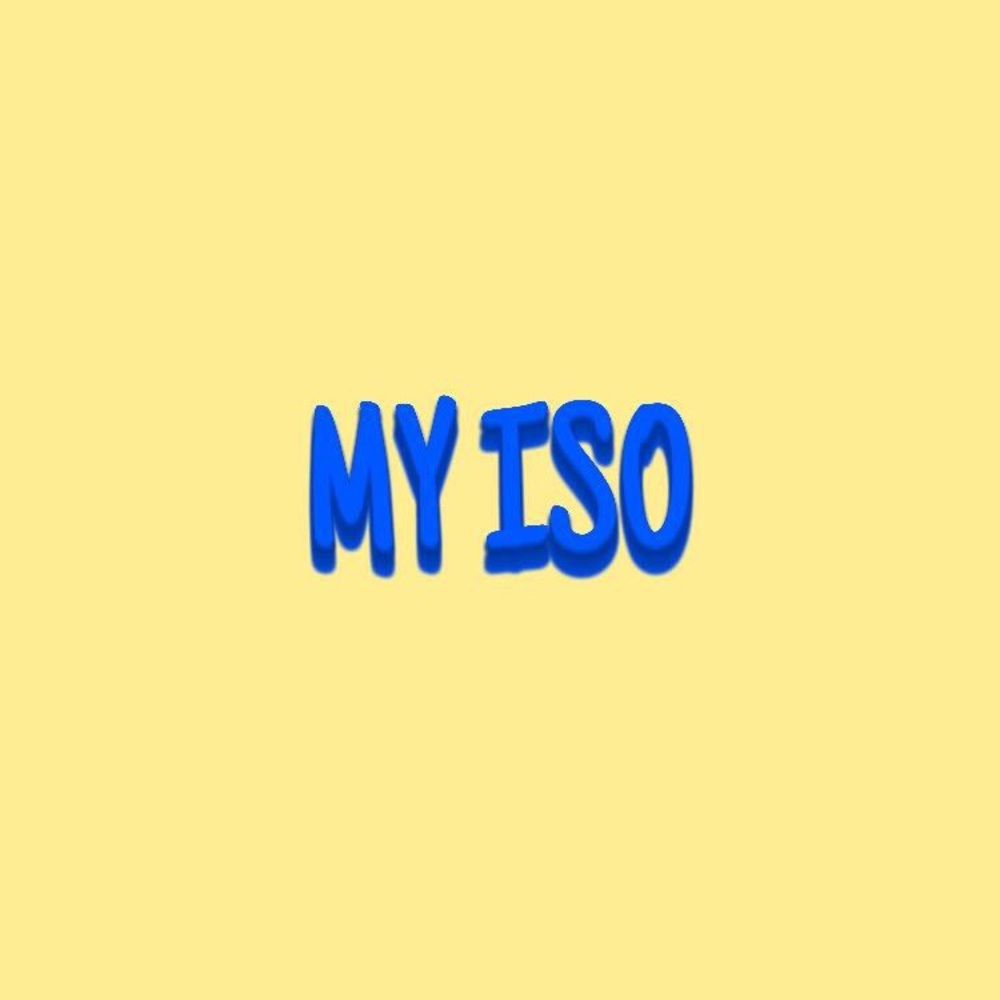 brandy melville ISO